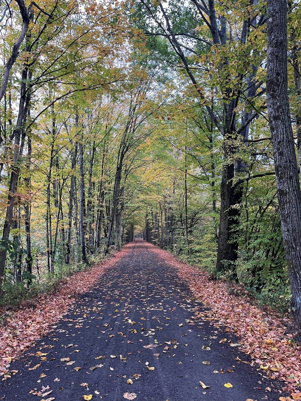 An autumn road